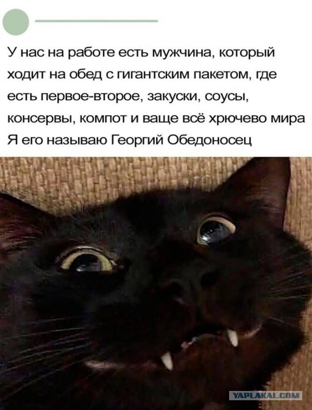 Так себе картинки 15.11.25