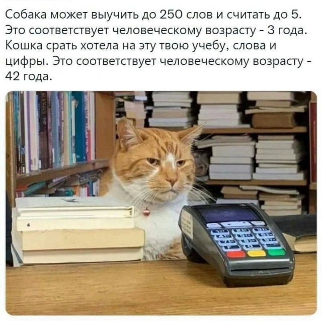 Понедельника картинки
