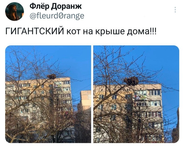 Картинки для деградации 151 (разной степени свежести)