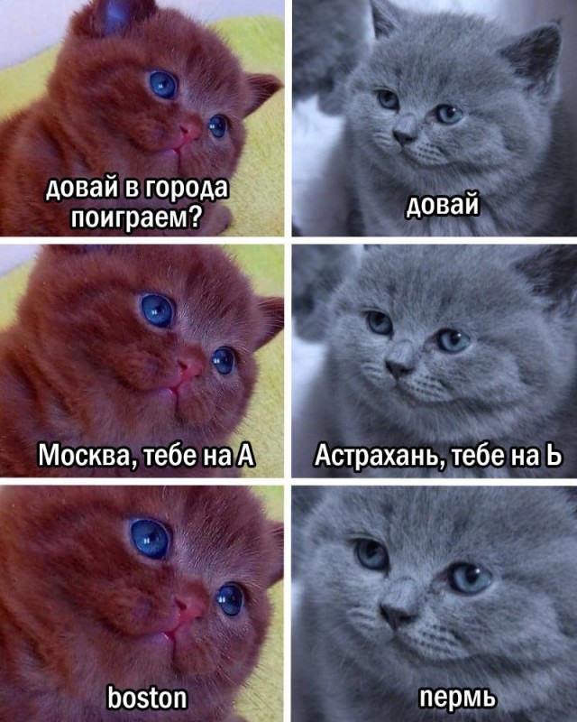 Субботние картинки