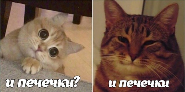 Вернуть трудовые лагеря для детей предложили в России