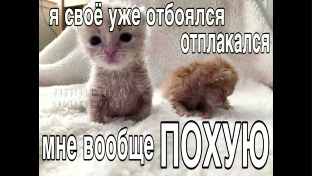 Даже внимания не стоит..