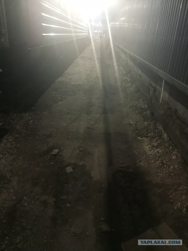 Пять суток в плацкарте