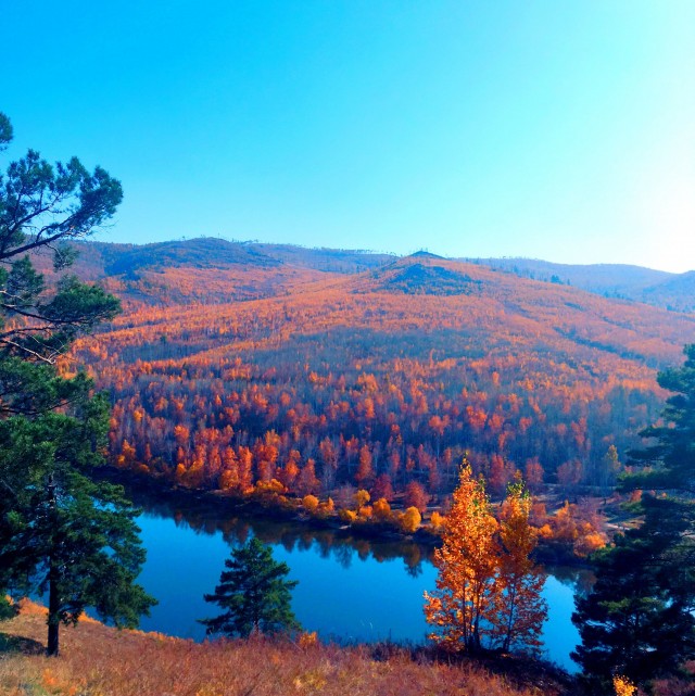 Осень в тайге