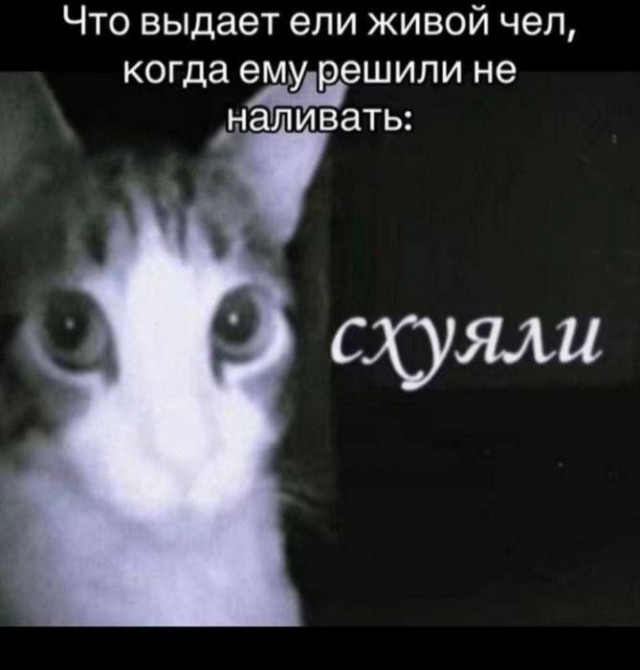 Картинки для деградации 270 (разной степени свежести)