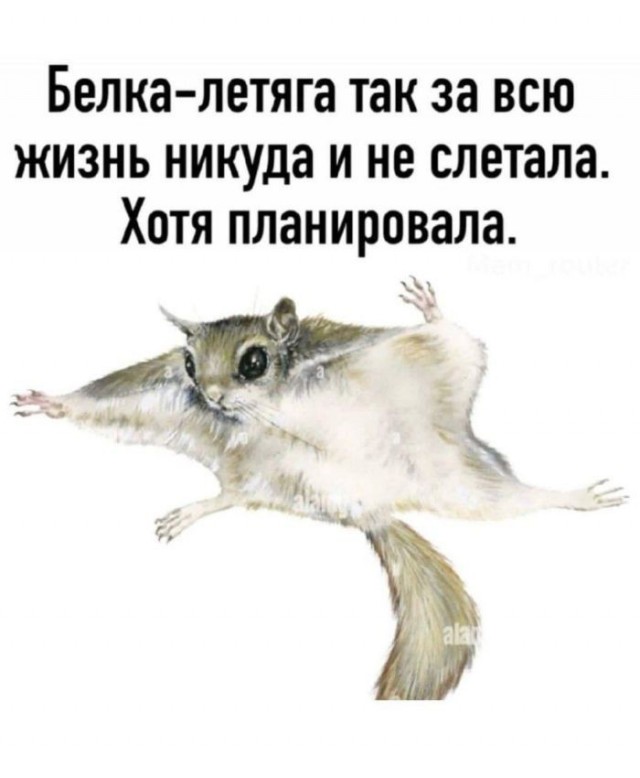 Веселые картинки в понедельник (12.10)