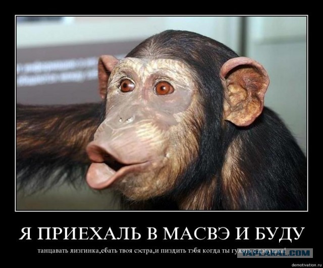 Не хватило смелости выйти