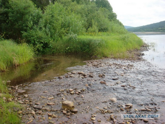 Рыбалка на р. Лена