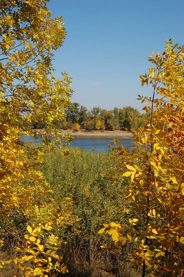 Деревенская Америка