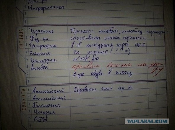 Привёл бомжа на урок!