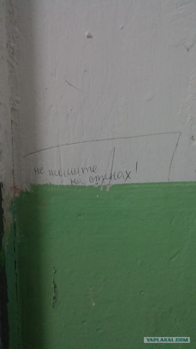 Весёлое из сети
