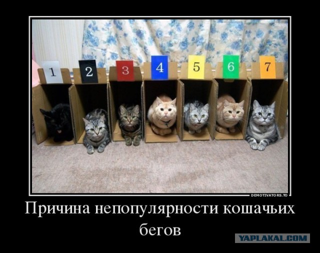 Картинки с буквами -11
