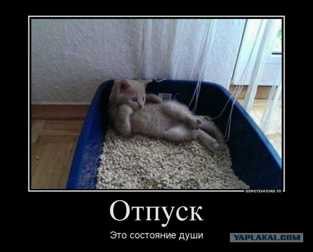 Известные котомемы.