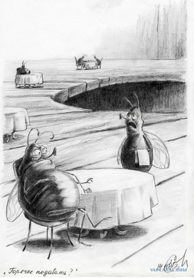 Философия в рисунках