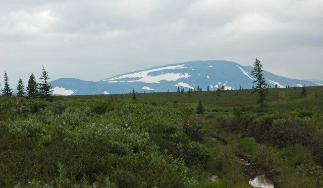 Деревенская Америка