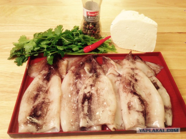 Кальмар фаршированный