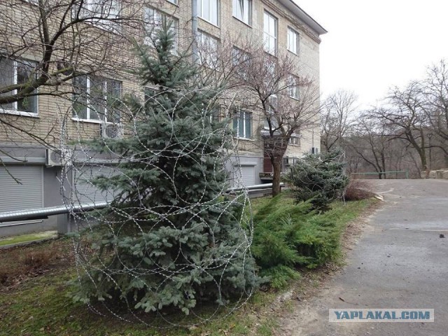 Дерзкое ограбление Сбербанка попало в объектив
