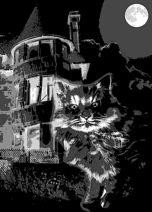Книга "Смеркалось (с)"