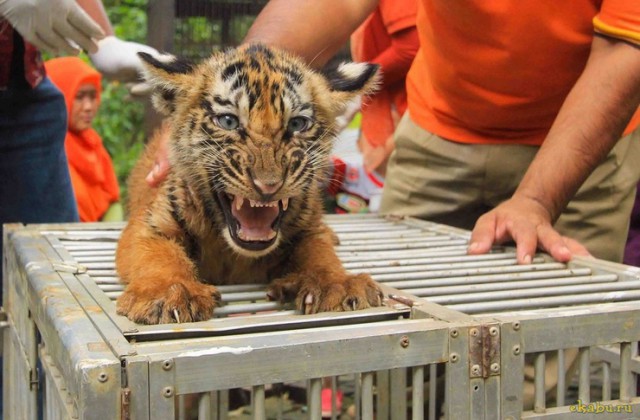 Подборка картинок