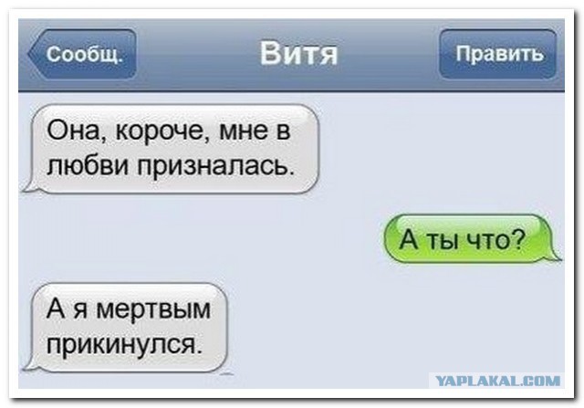 Смешные комментарии из социальных сетей 03.11.2016