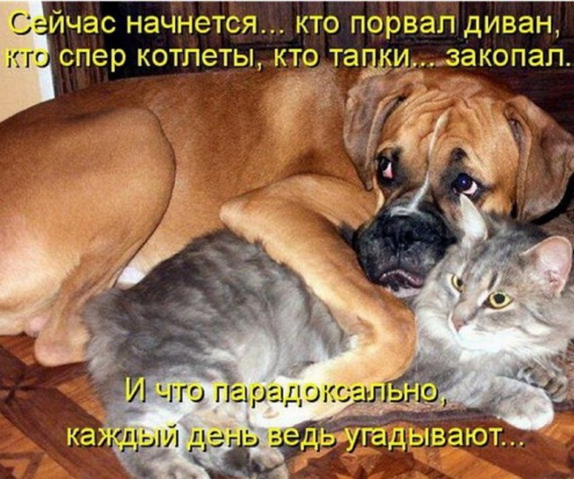 Картинки из инета