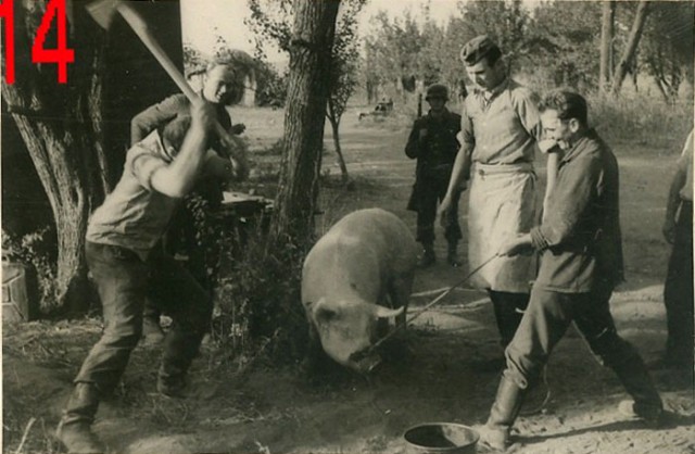 Фотографии к "Нахальному минированию" и "Лехе"