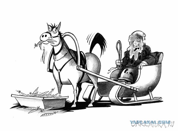 Юмор в картинках