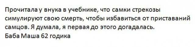Смешные комментарии из социальных сетей 26.05.2017