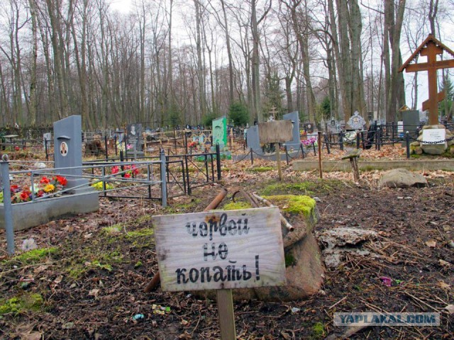 Адовая смесь чернушных картинок на вторник