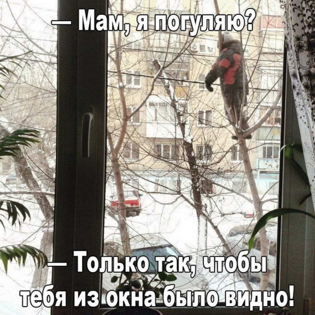Тупик эволюции
