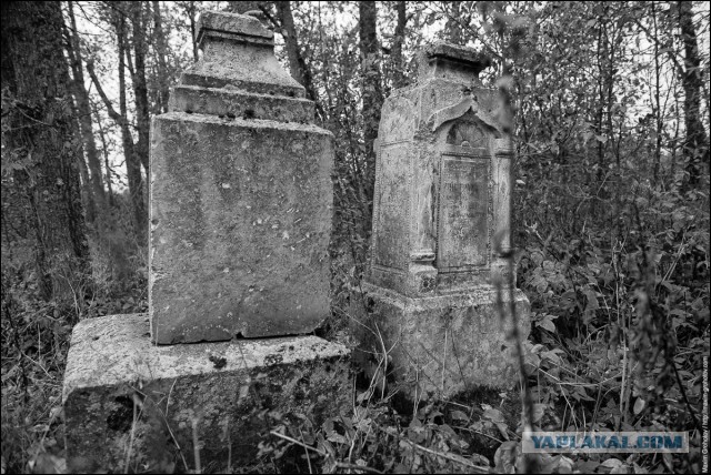 Исаакий в Костромских лесах. Забытый Вятский тракт.