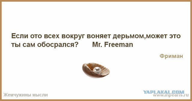Актер «Левиафана» Серебряков назвал хамство национальной идеей России