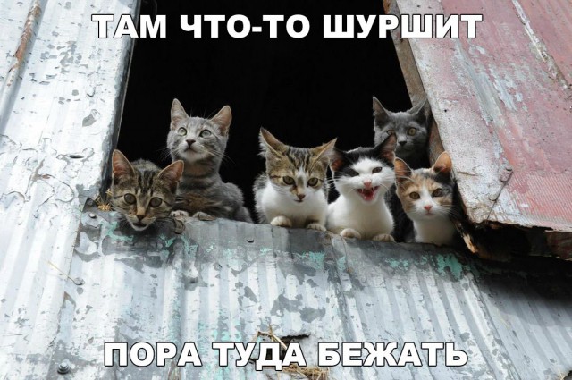 Нестандартный юмор