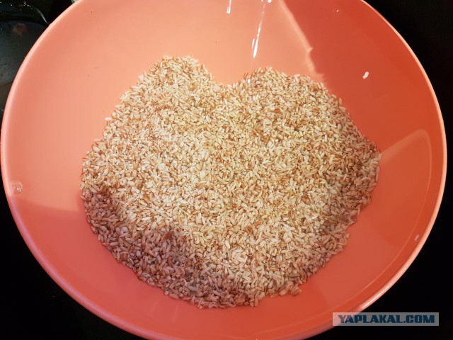 Плов домашний