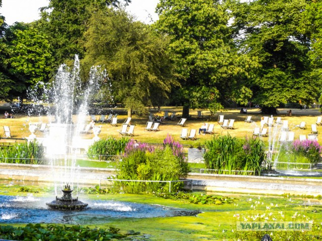 Командировка в Лондон (фото отчет)