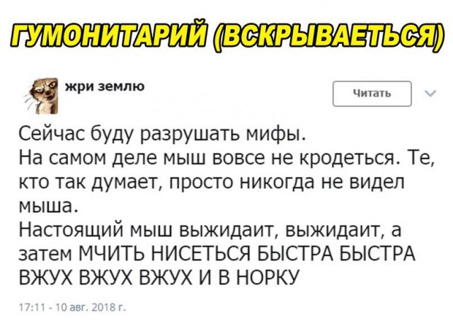 Прикольные картинки