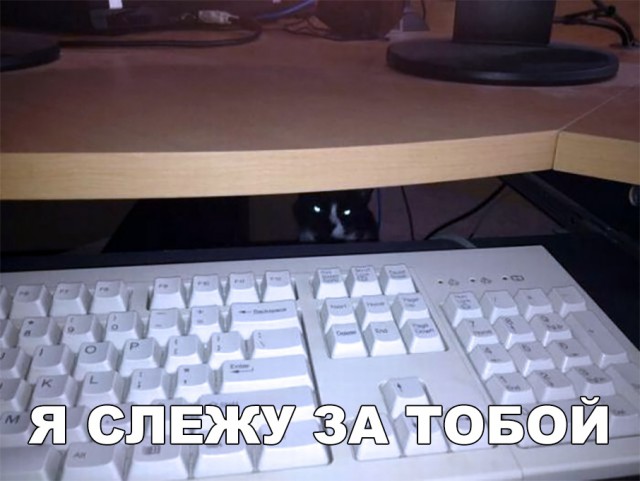 Немного милоты