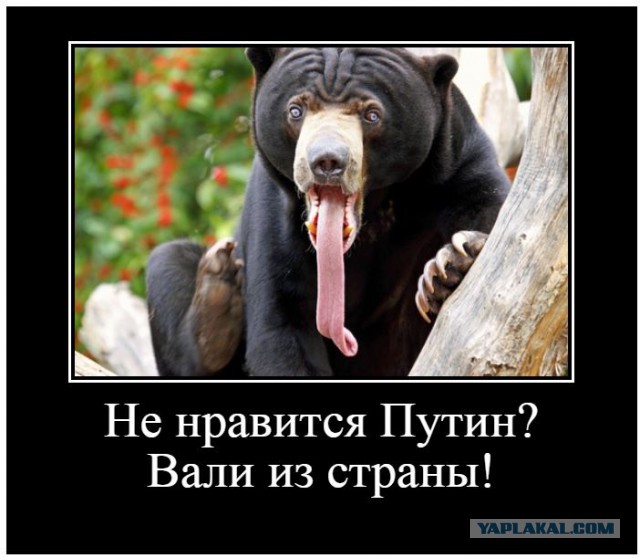 Не нравится Путин? Вали из страны!
