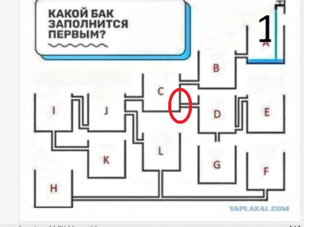 Анекдоты, соц-сети и картинки с надписями