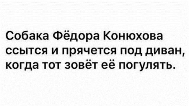 Анекдоты, соц-сети и картинки с надписями