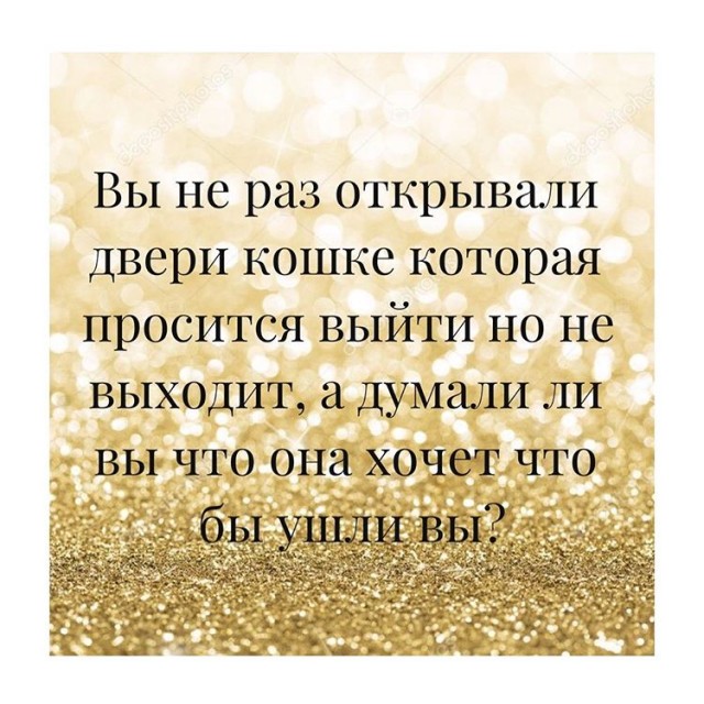 Бредзона 25.12.2019