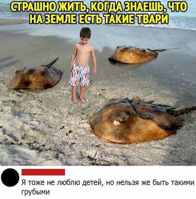 Так себе картинки #14