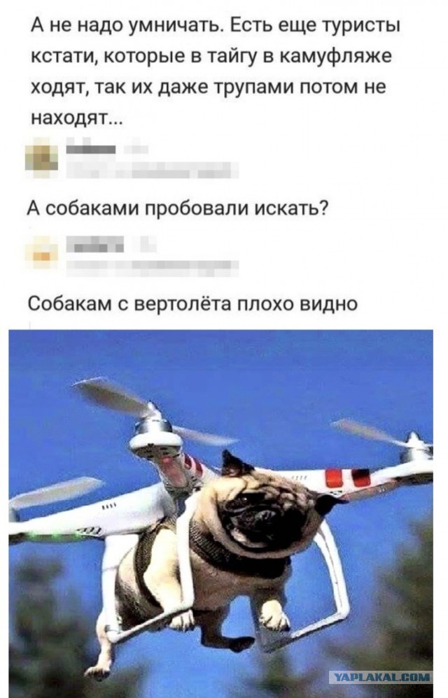 Бредзона 13.05.2020