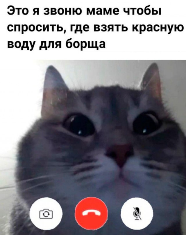 Немного картинок для настроения 17.05.20