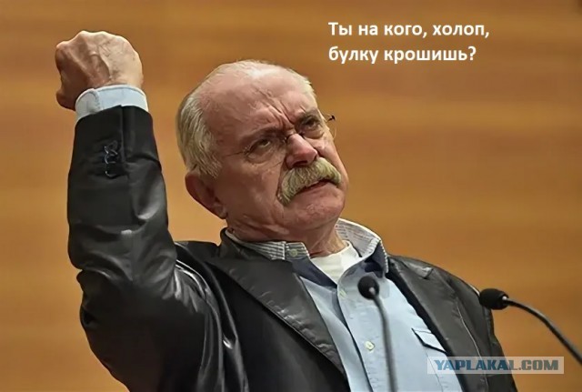 Никита Михалков вырубает русский лес