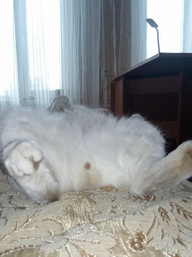 Когда фотографируешься на паспорт
