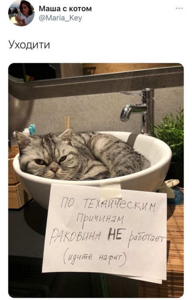 Картинки всякие