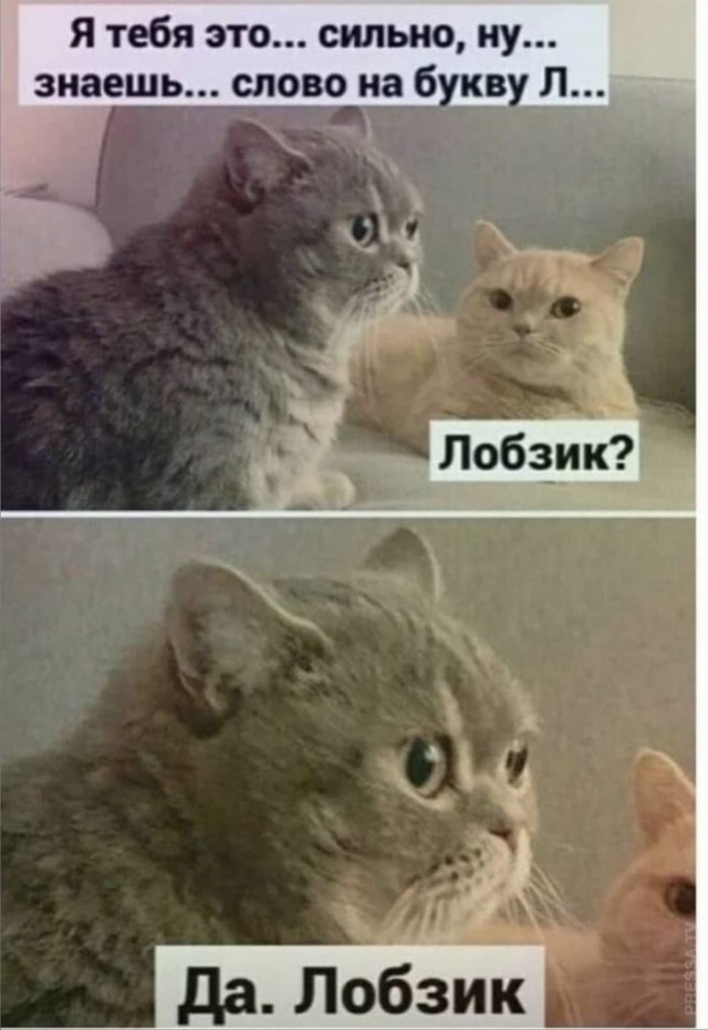 Картинки и мемы для настроения 010