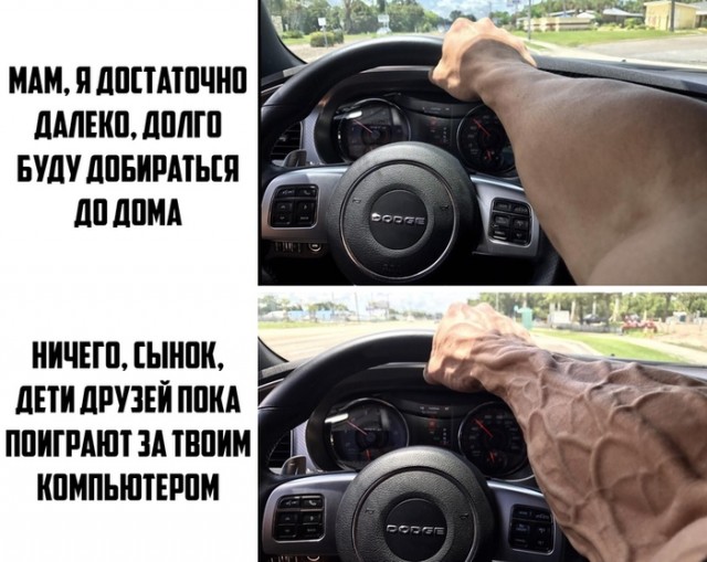 Картинки и мемы для настроения 006