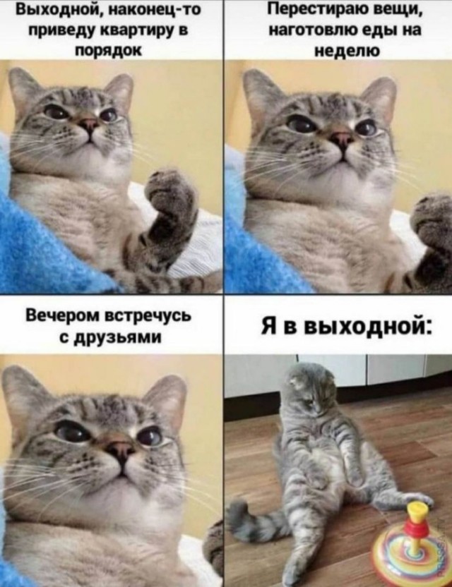 Картинки и мемы для настроения 029